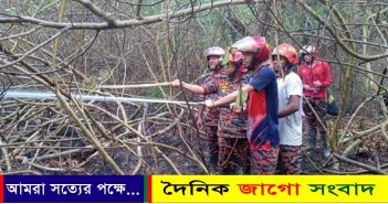 পুরোপুরি নিয়ন্ত্রণে সুন্দরবনের আগুন: ফায়ার সর্ভিস
