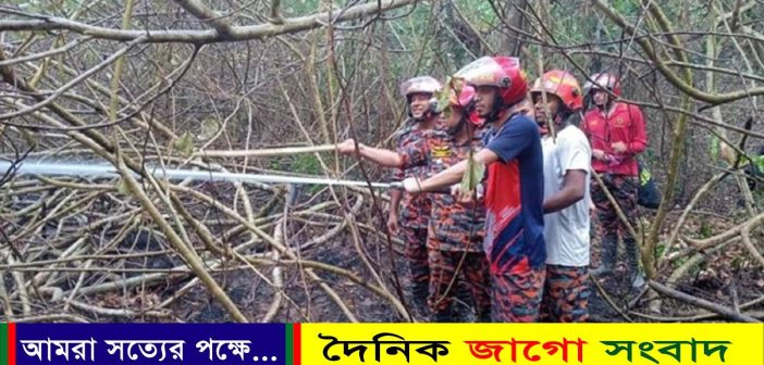 পুরোপুরি নিয়ন্ত্রণে সুন্দরবনের আগুন: ফায়ার সর্ভিস