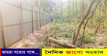 দেড় শতাধিক কারখানা বনের জমিতে