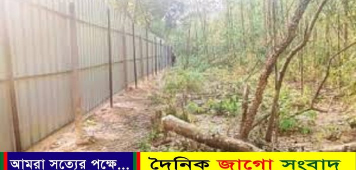 দেড় শতাধিক কারখানা বনের জমিতে