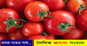 ৪ টাকার টমেটো ঢাকায় এসে হয়ে যায় ৪০-১০০ টাকা