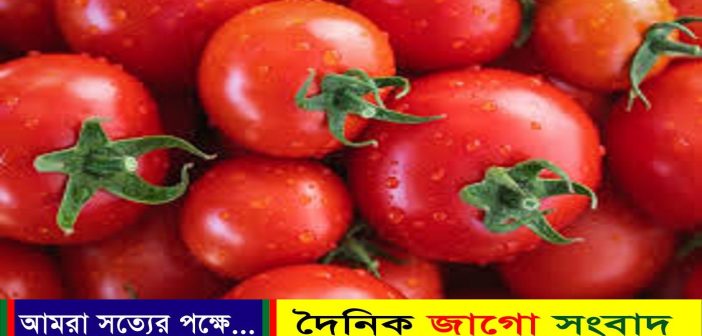 ৪ টাকার টমেটো ঢাকায় এসে হয়ে যায় ৪০-১০০ টাকা