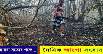 সুন্দরবন ২২ বছরে ২৫ বার পুড়েছে