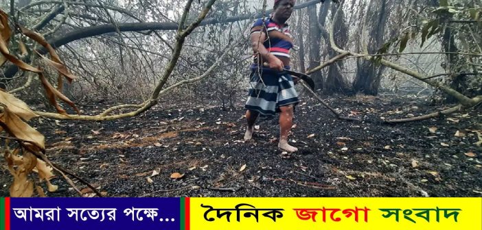 সুন্দরবন ২২ বছরে ২৫ বার পুড়েছে